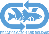 catch and release
